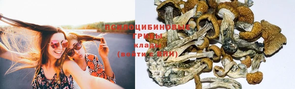 гидра Алексин