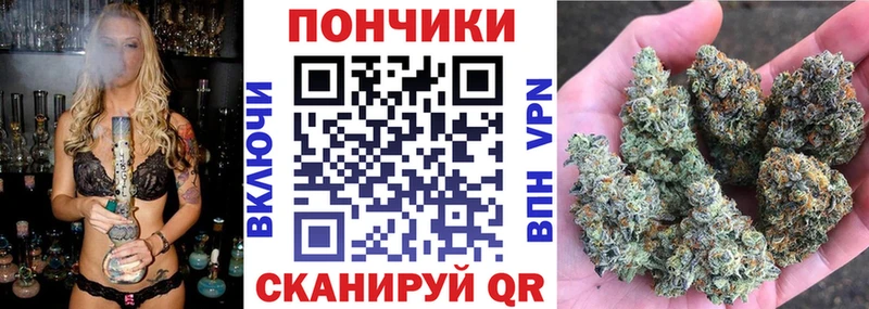 дарнет шоп  darknet как зайти  Конопля сатива  Котово 